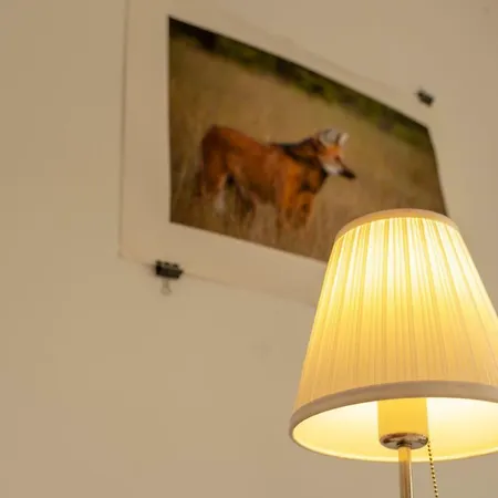 The Studio Apartment Sibiu